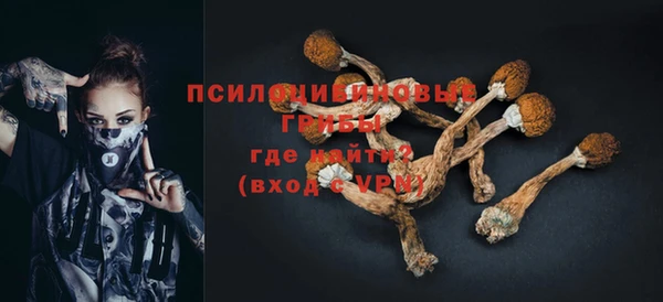 прущий лед Вязники