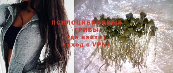 прущий лед Вязники