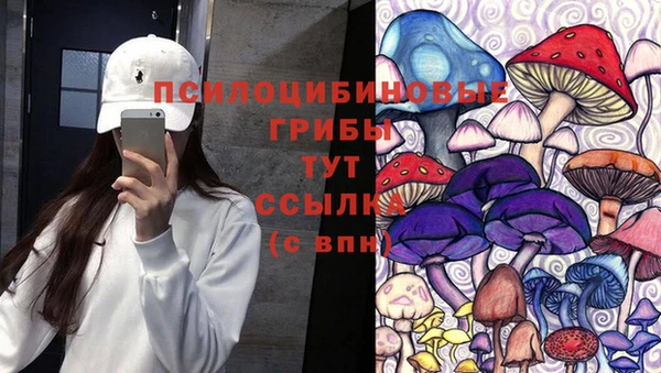 ECSTASY Вязьма