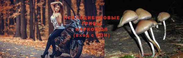 гашиш Волоколамск