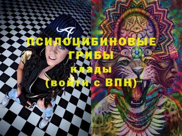 прущий лед Вязники