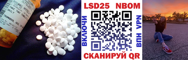 LSD-25 экстази кислота  blacksprut зеркало  Королёв 