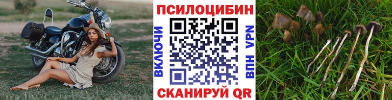 Псилоцибиновые грибы Cubensis  Королёв 